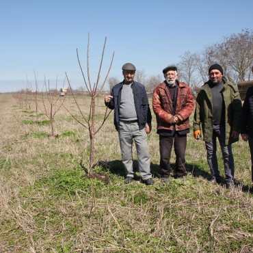  Заботы, тревоги и надежды садоводов Кизилюртовского района